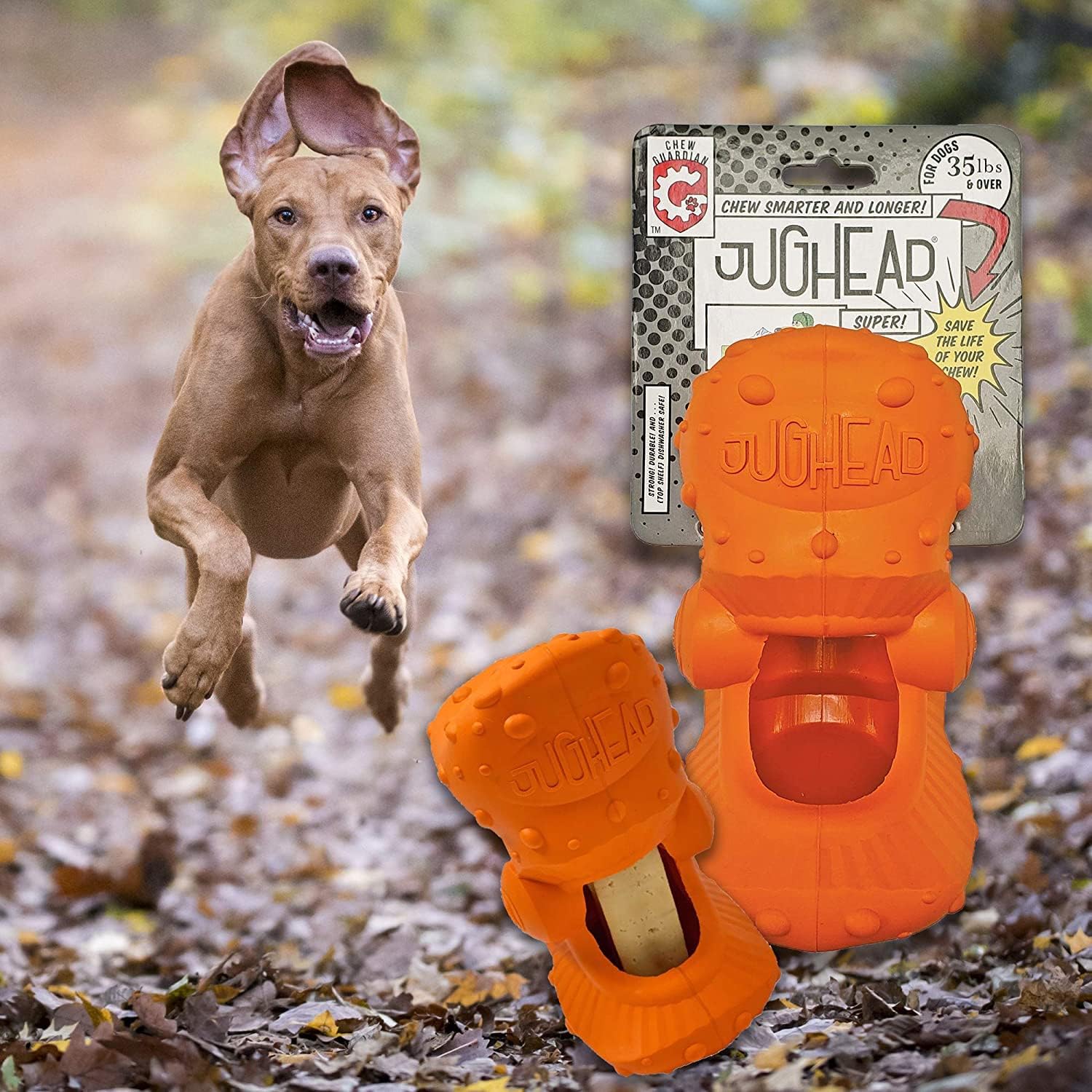 Himalayan Pet Supply Jughead Super Cheese Chew Insert, 100% Natural, Long Lasting, Gluten Free, Healthy & Safe Dog Treats, Lactose & Grain Free, Protein Rich, Dogs 35 lbs and Over, Large : Pet Supplies