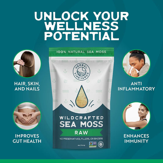 Herbal Vineyards 100% Natural Organic Wildcrafted Gold Raw Sea Moss | 4Oz Package | Non-Gmo Project Verified