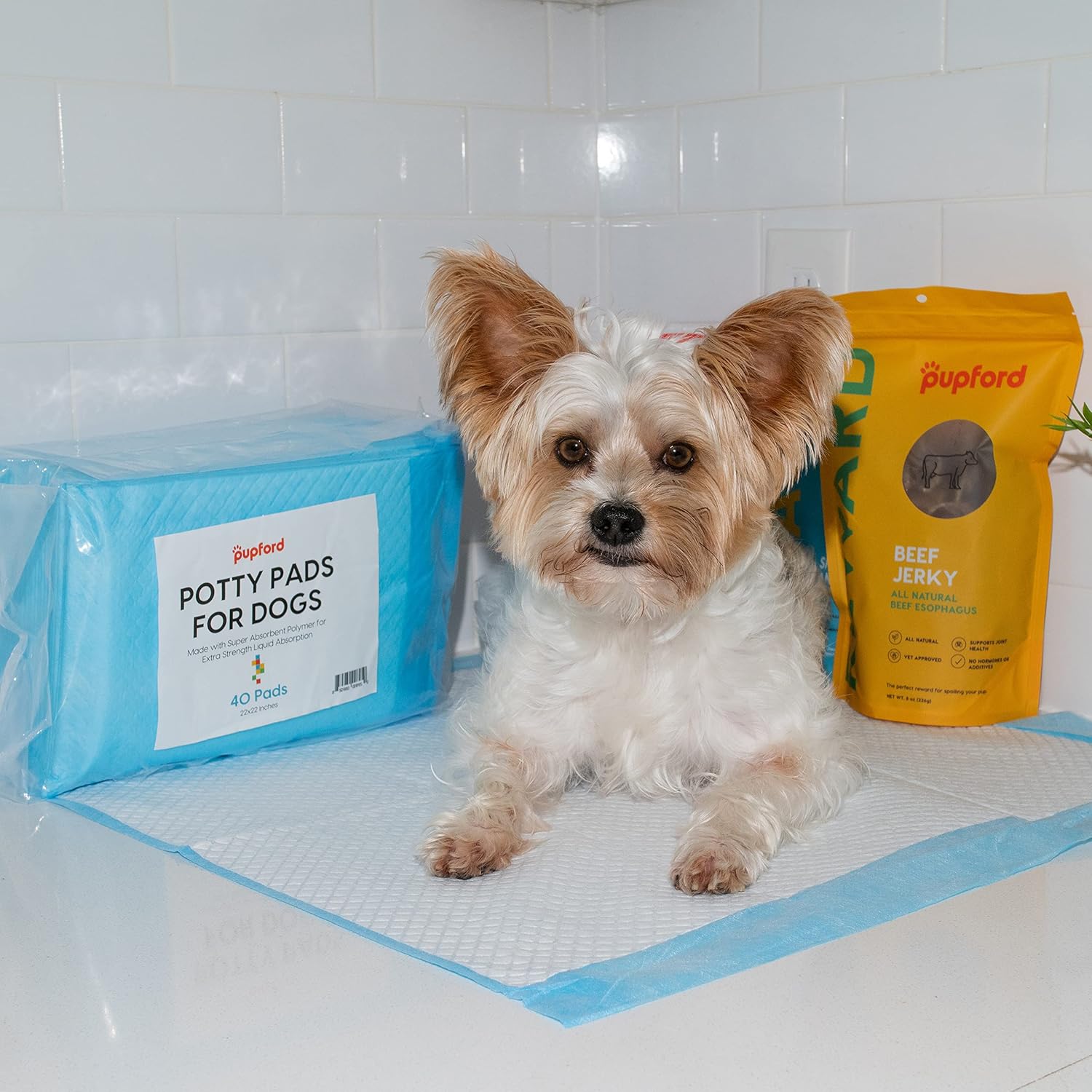 Pupford Potty Pads for Dogs & Puppies – Leak-Proof Pet Potty Training Pads | 40 Count | Heavy-Duty, Thick, Disposable, Made with Super Absorbent Polymer | 22x22 in : Pet Supplies