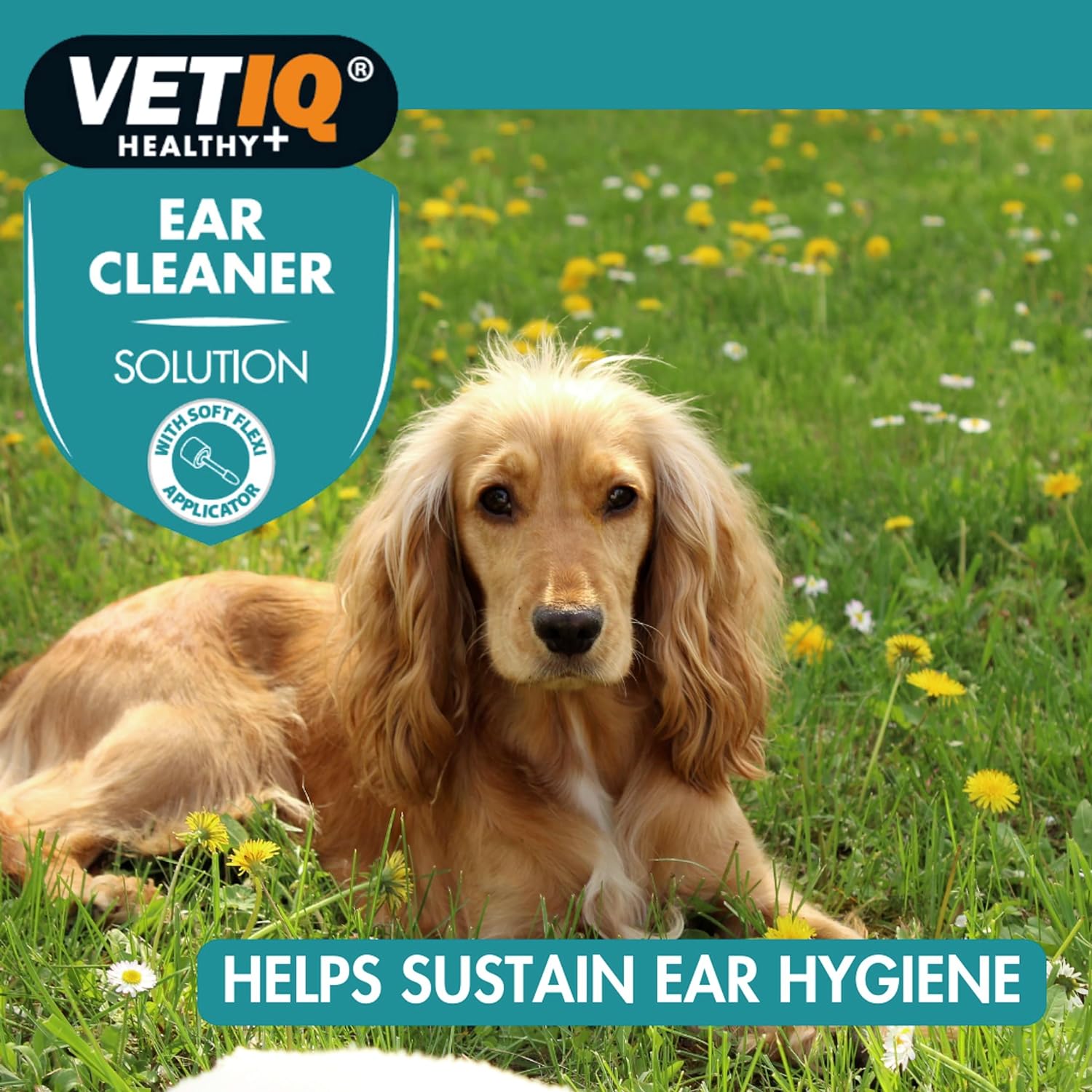 VETIQ Ear Cleaner Solution with Soft Flexi Applicator for Cats & Dogs, Safe & Gentle Solution to Soften & Remove Ear Wax & Maintain Ear Hygiene, 100 ml :Pet Supplies