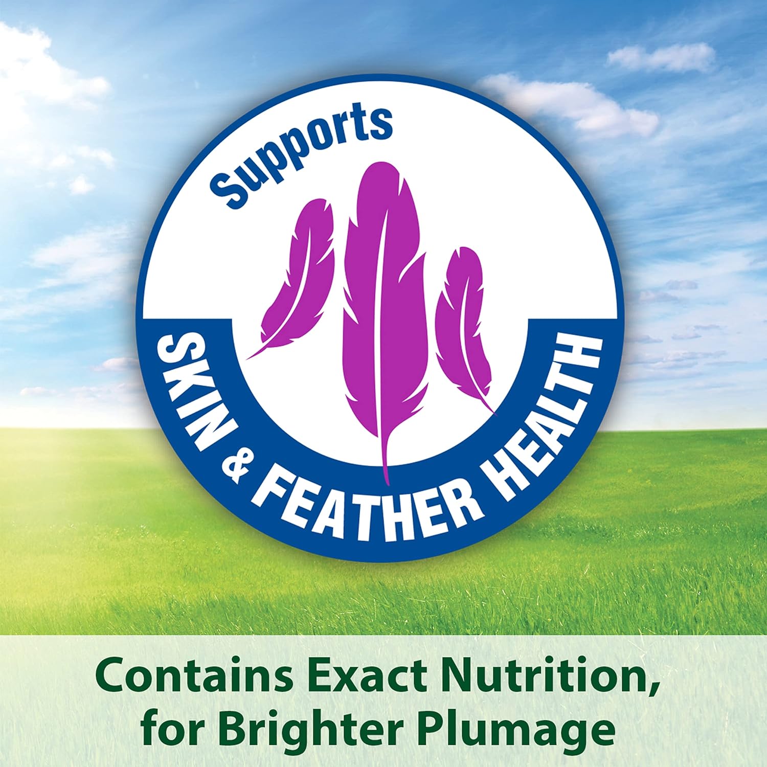 Kaytee Forti-Diet Pro Health Cockatiel Pet Bird Food with Safflower, 4 Pound : Pet Supplies