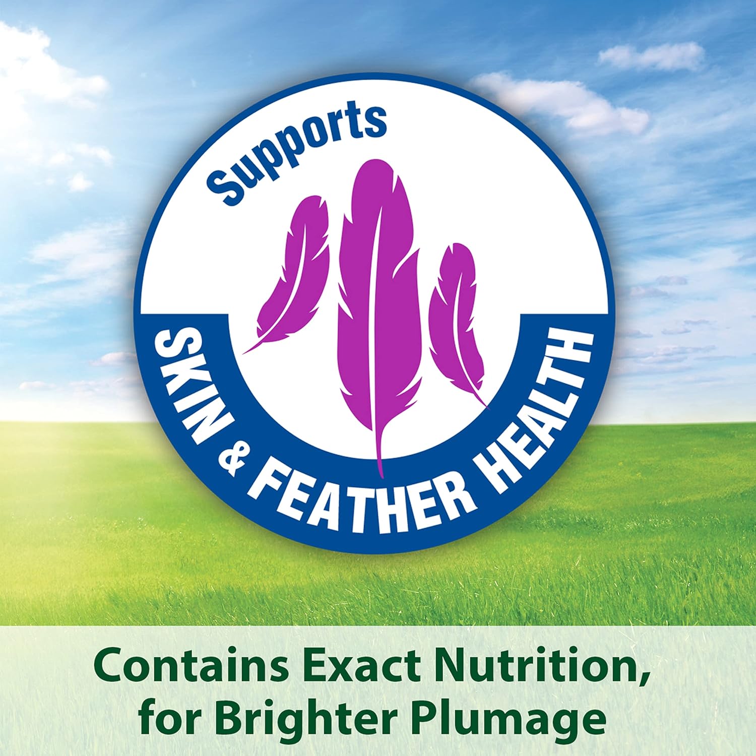 Kaytee Forti-Diet Pro Health Parakeet Food, 25 lb : Pet Food : Pet Supplies