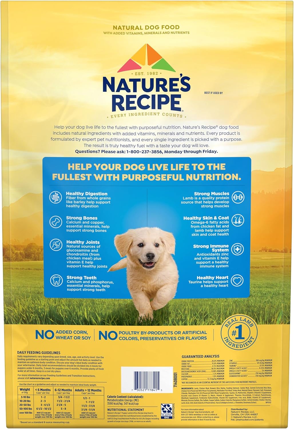 Nature’s Recipe Puppy Lamb & Rice Recipe Dry Dog Food, 12 lb. Bag : Pet Supplies