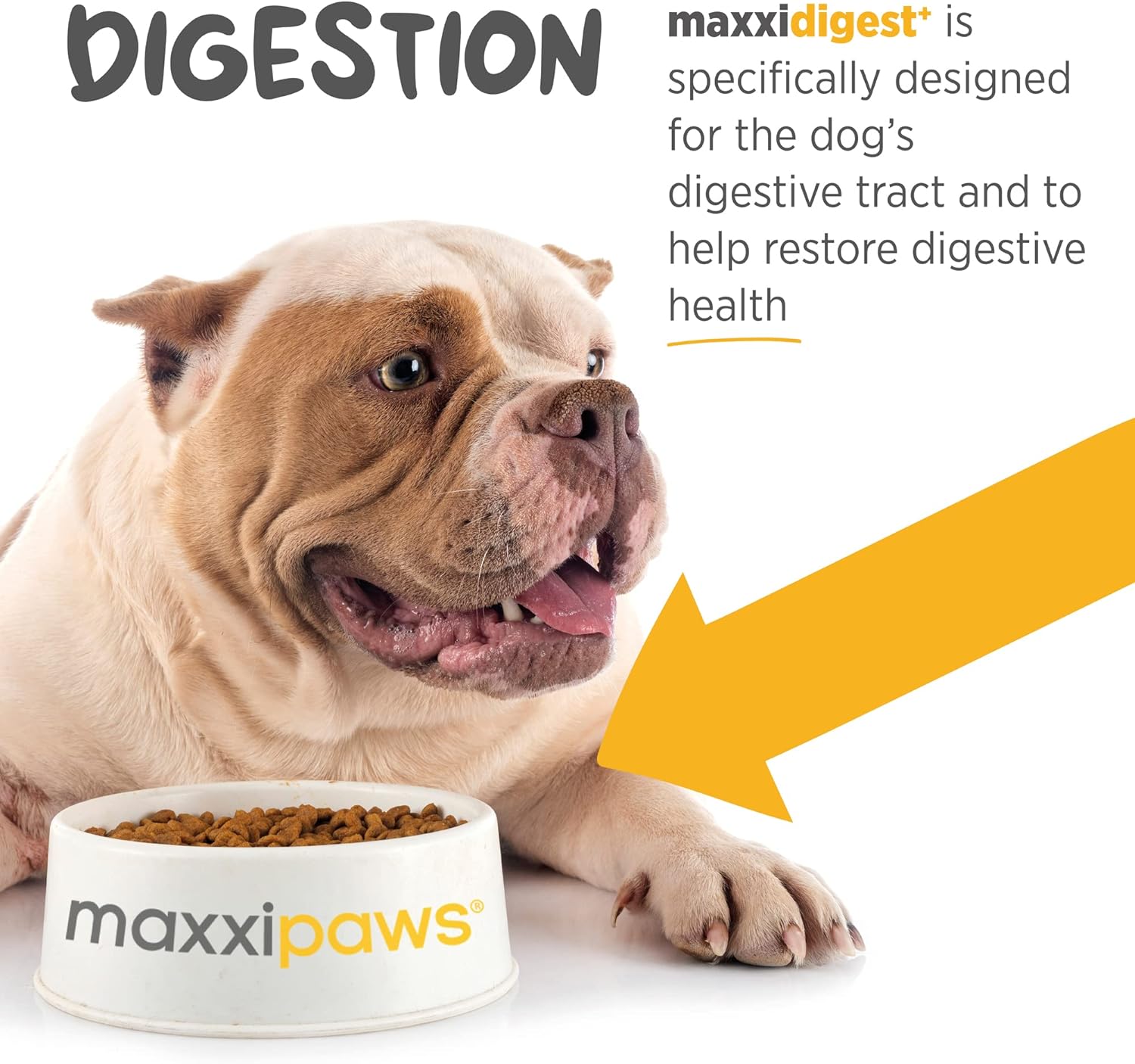 maxxipaws maxxidigest+ Probiotics, Prebiotics and Digestive Enzymes - Digestive and Immune Support Supplement for Dogs – 7 oz : Pet Supplies