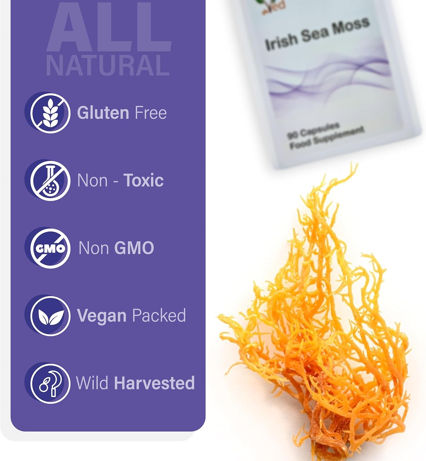 VED Organic Irish Sea Moss (Chrondrus crispus) 1200 mg 90 Vegan Capsules (45 Days Supply) : Amazon.co.uk: Health & Personal Care