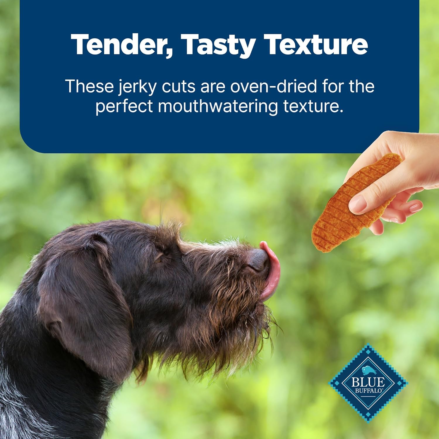 Blue Buffalo Nudges Jerky Cuts Dog Treats, Made in the USA with Natural Ingredients, Chicken & Duck, 16-oz. Bag