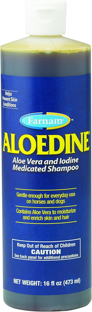 Farnam Medicated Shampoo With Aloe Vera And Iodine | Moisturizing And Gentle | For Horses, Ponies And Dogs | 16 Oz