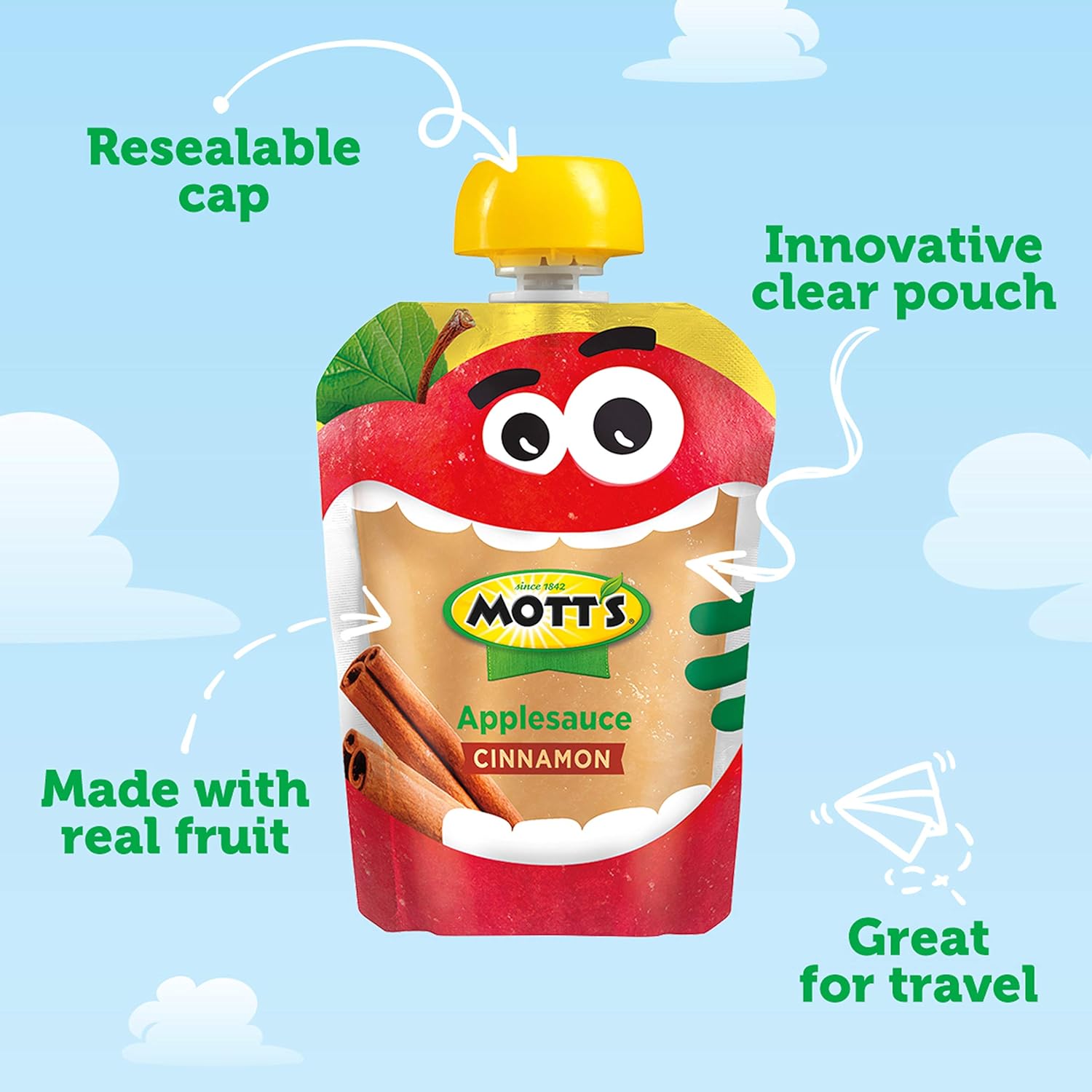 Mott'S Cinnamon Applesauce, 3.2 Oz Clear Pouches, 24 Count (6 Packs Of 4), No Artificial Flavors, Good Source Of Vitamin C, Nutritious Option For The Whole Family