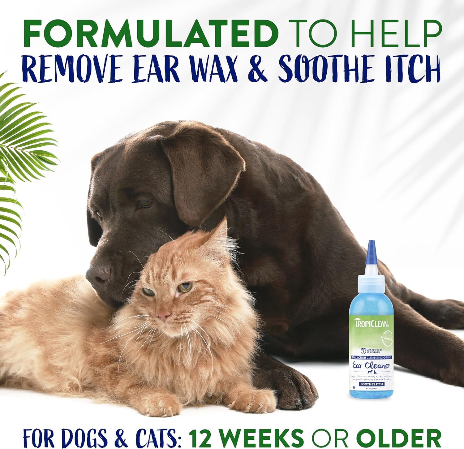 TropiClean Dual Action Ear Cleaner for Cats & Dogs | Vet Tested & Approved Ear Wash for Dogs | Pet Ear Wash Derived from Natural Ingredients | Made in the USA | 4 oz : Pet Supplies