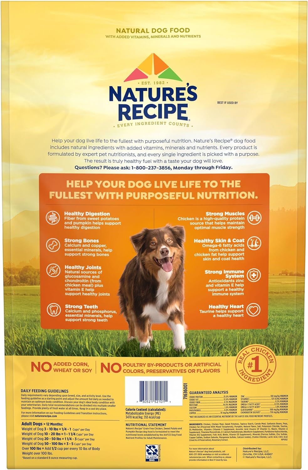 Nature's Recipe Dry Dog Food, Grain Free Chicken, Sweet Potato & Pumpkin Recipe, 12 lb. Bag : Pet Supplies