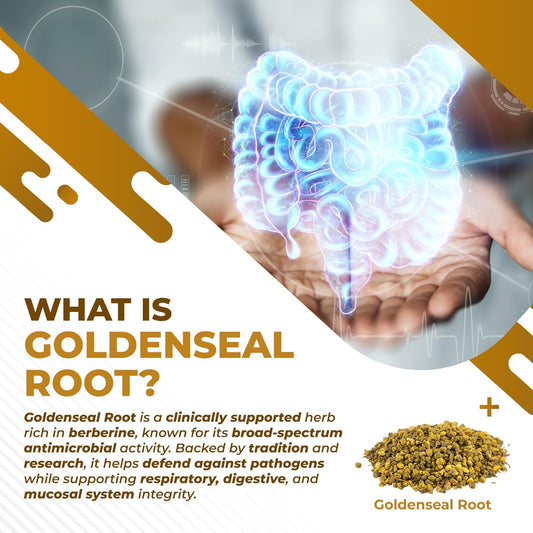 Goldenseal Root 8-In-1 Formula - With Cinnamon Ginger Echinacea Elderberry Black Pepper Vitamin D3 - Non-Gmo, Gluten-Free, Soy-Free