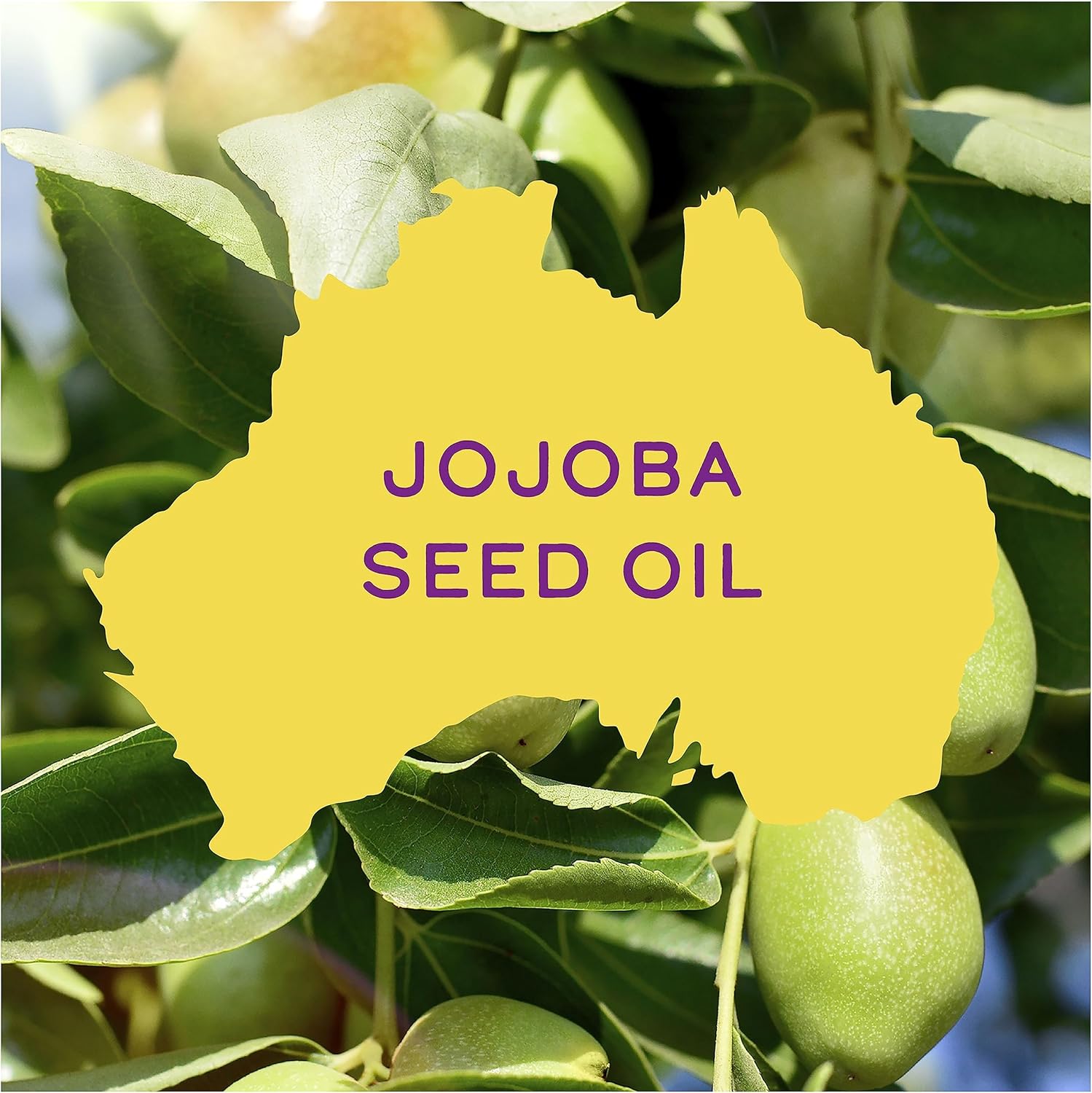 Aussie Work That Curl Lightweight Oil 100ml. Multi-Tasking Hair Serum to Boost Shine, Moisturise and Nourish Curly Hair. Infused with Jojoba Seed Oil. Vegan and Cruelty-Free : Amazon.co.uk: Beauty