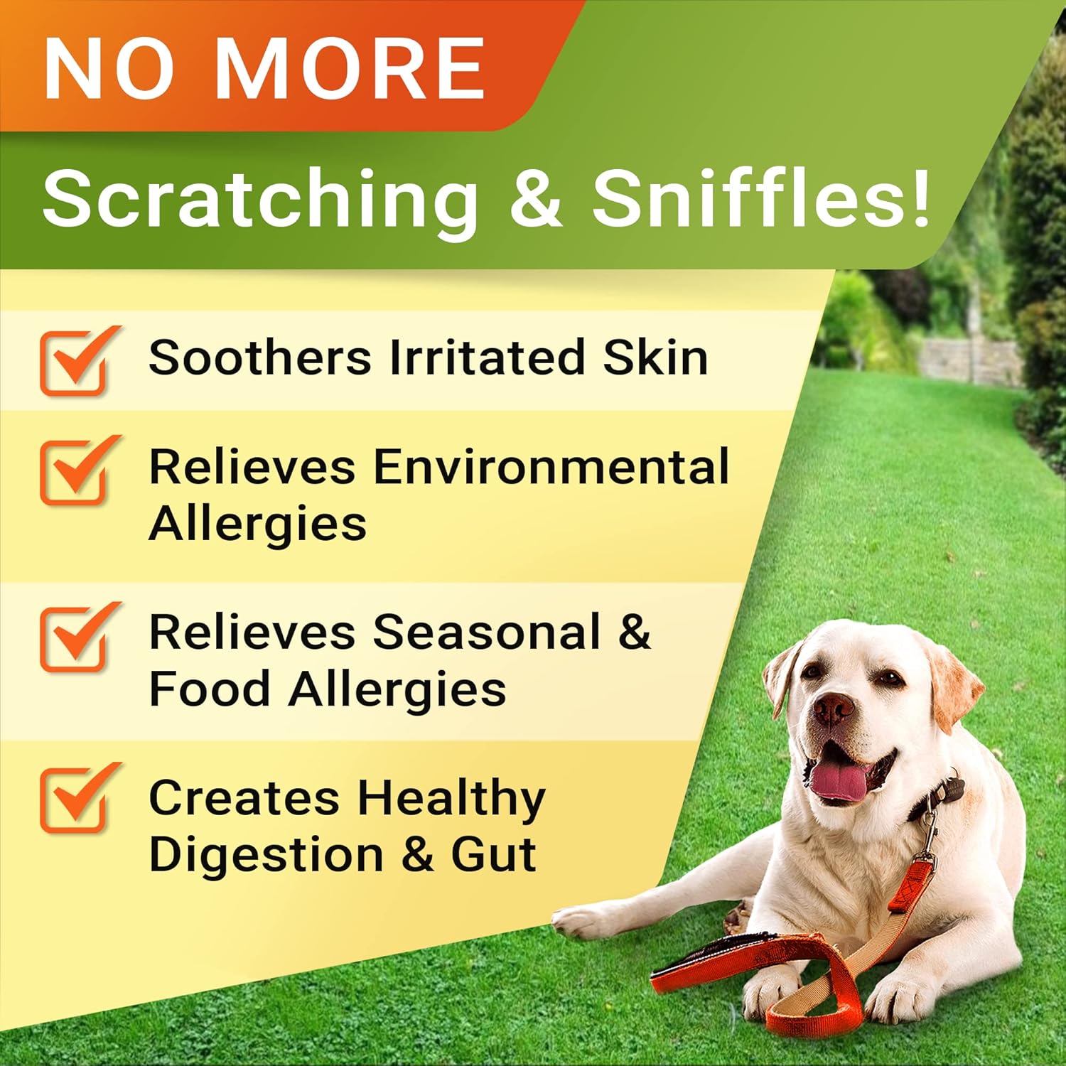 Probiotics + Allergy Relief for Dogs Bundle - Chewable Fiber Supplement + Itchy Skin Treatment - Digestive Enzymes + Omega 3 & Pumpkin - Upset Stomach Relief + Itch Relief- 360 Chews - Made in USA : Pet Supplies