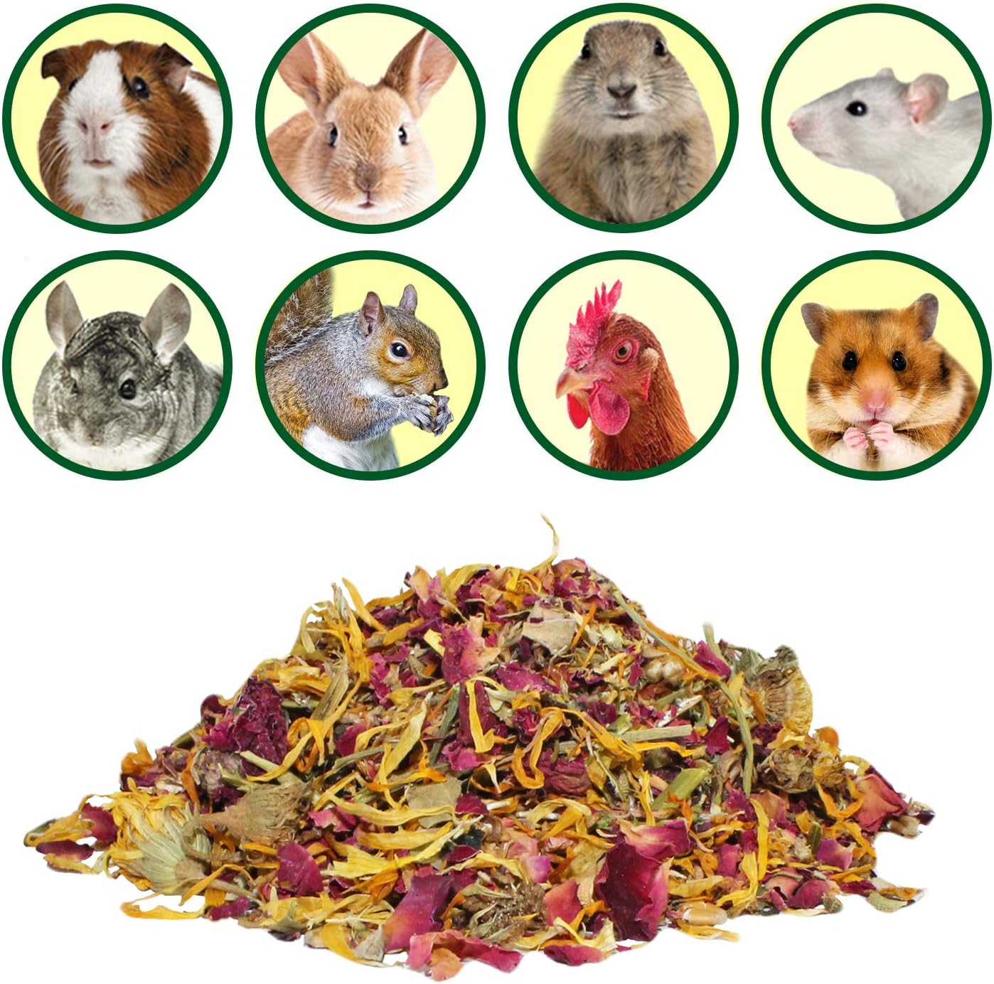 Exotic Nutrition Flower Treat 3 Pack - Healthy Assortment - Hibiscus, Calendula, Rose - for Squirrels, Guinea Pigs, Rabbits, Chinchillas, Prairie Dogs, Degus, Hamster, Gerbils, & Other Herbivores : Pet Supplies