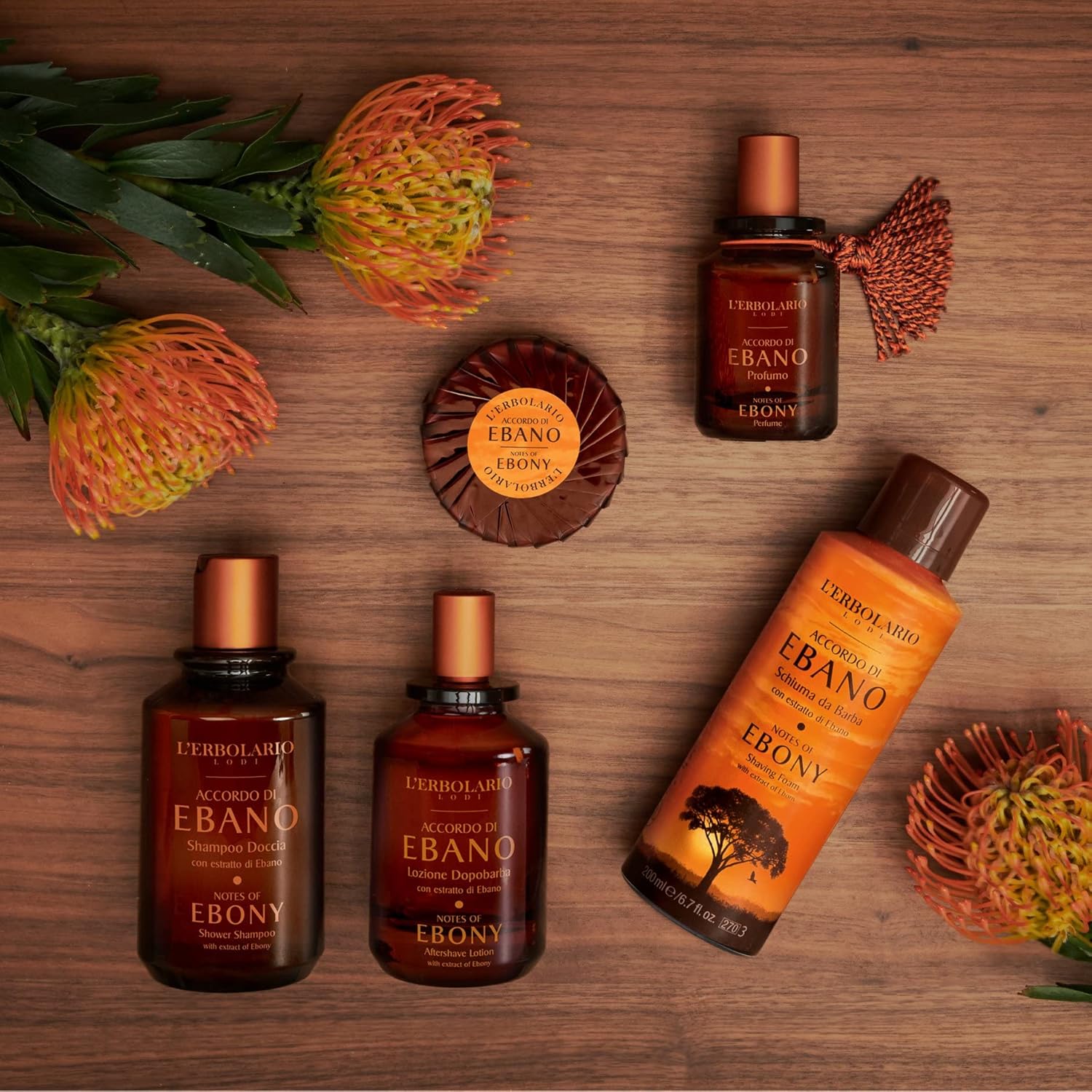 L'Erbolario Notes Of Ebony - Notes Of Grapefruit, Black Pepper And Elemi - Woody Fragrance For Men - Vigorous And Irresistable - Long Lasting Wear - Cruelty Free - 1.7 Oz Edp Spray : Beauty & Personal Care