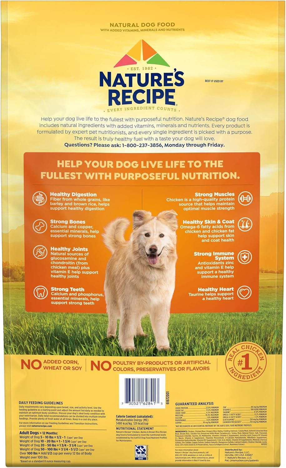 Nature?s Recipe Chicken, Barley & Brown Rice Recipe Dry Dog Food, 24 lb. Bag : Pet Supplies