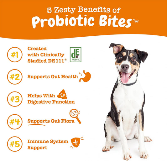 Zesty Paws Probiotics for Dogs - Digestive Enzymes for Gut Flora, Digestive Health, Diarrhea & Bowel Support - Clinically Studied DE111 - Dog Supplement Soft Chew for Pet Immune System - 50 Count