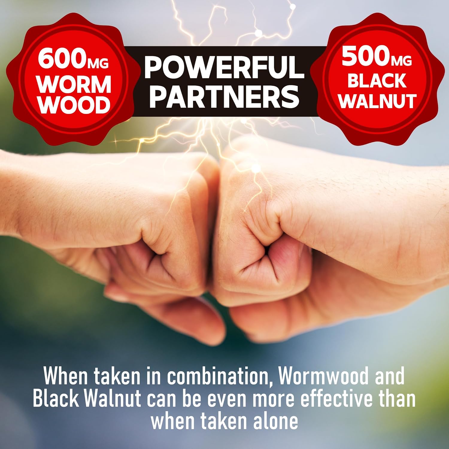 Dedicad Sweet Wormwood Capsules 1500Mg With Black Walnut & Cloves - 240 Vegan Capsules - Artemisia Annua Supplement For Digestive System, Immunity : Health & Household