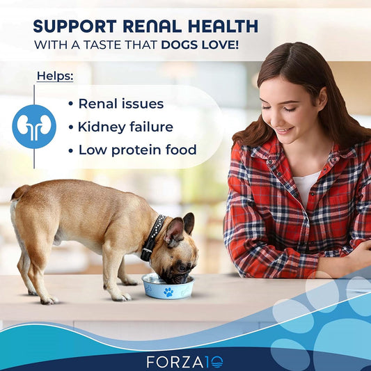 Forza10 Actiwet Wet Kidney Dog Food, Wet Renal Dog Food 3.5 oz, Lamb Flavor Kidney Care Dog Food Wet, for Renal Support Dog and Kidney Failure Dog Food, 12 Pack