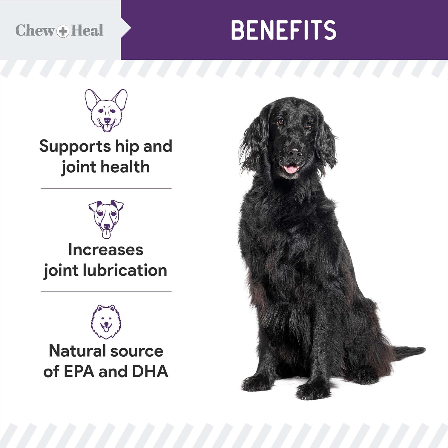 Chew + Heal Labs Dog Salmon Jerky Treats for Hip and Joint - 5 oz of Mobility Soft Dog Jerky Treats - Made with Alaskan Salmon, Turmeric, Glucosamine, Chondroitin, Green Lipped Mussel, and More : Pet Supplies