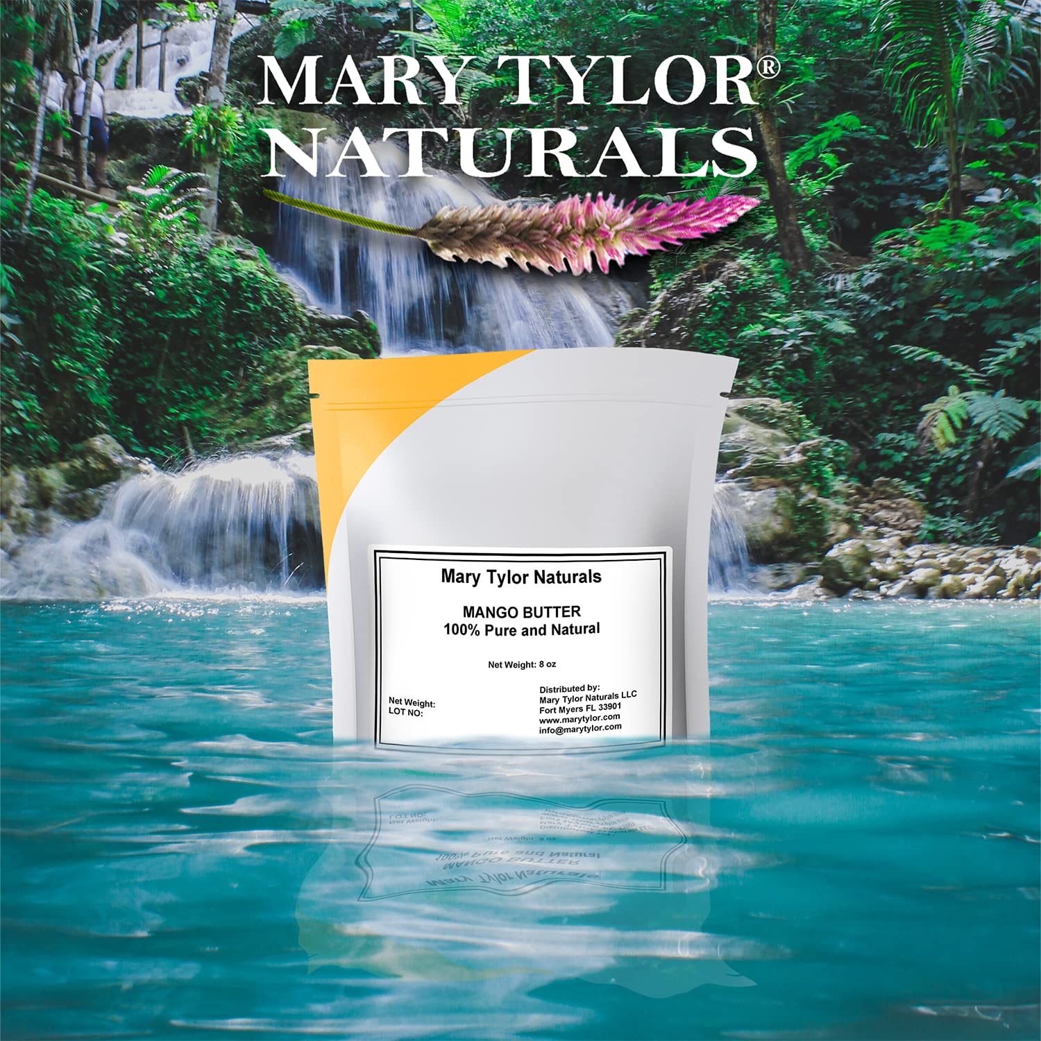 Mary Tylor Naturals Mango Butter 8 Oz Cold Pressed, Unrefined,Raw Pure Mango Butter — Can Be Used For Hair, Skin And Nails : Beauty & Personal Care