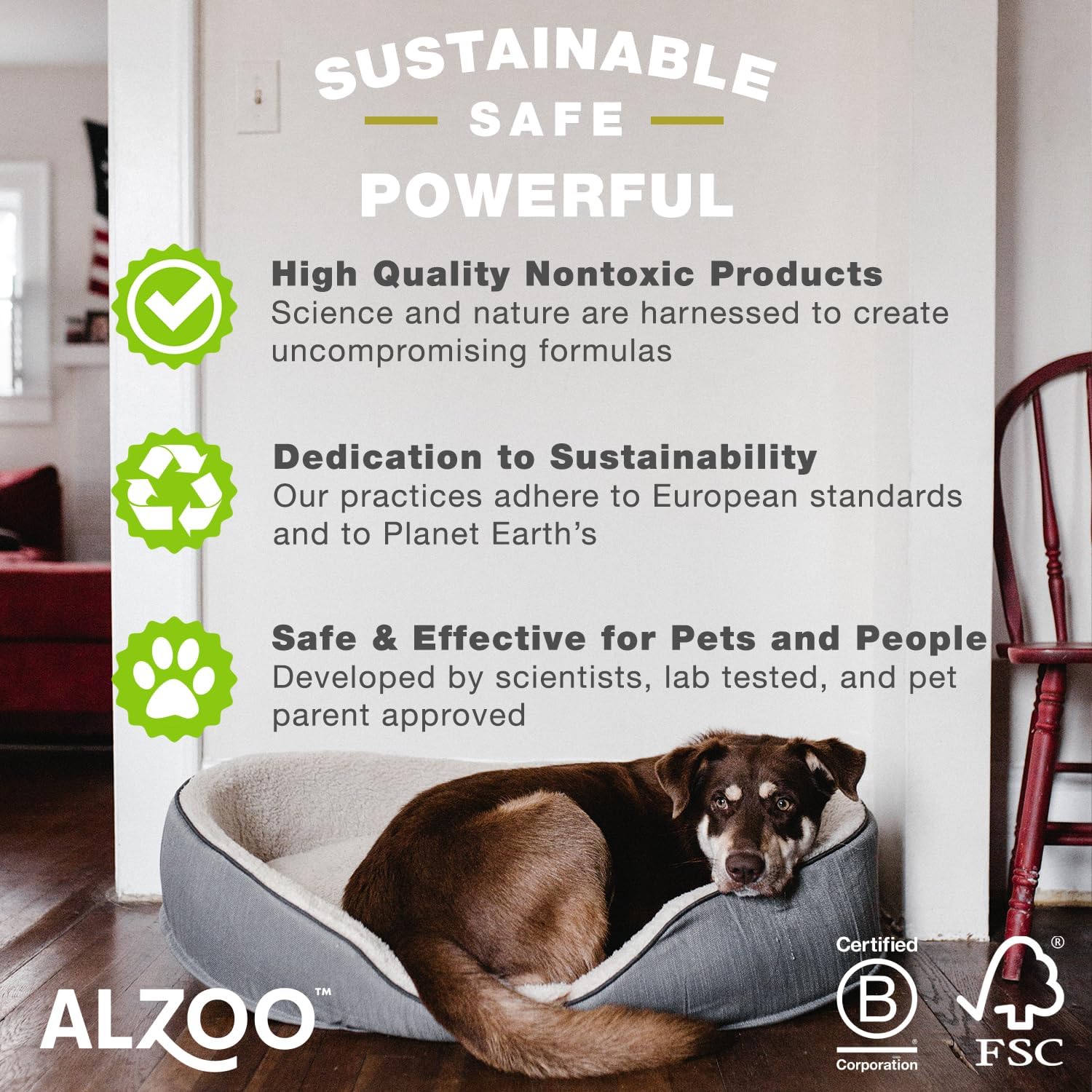 ALZOO Concentrated Stain & Odor Remover Bundle Bottle Set, Includes 32 Fl. Oz Refillable Bottle & 1.1 Oz. Concentrated Stain & Odor Remover, 100% Plant-Based Active Ingredients : Pet Supplies
