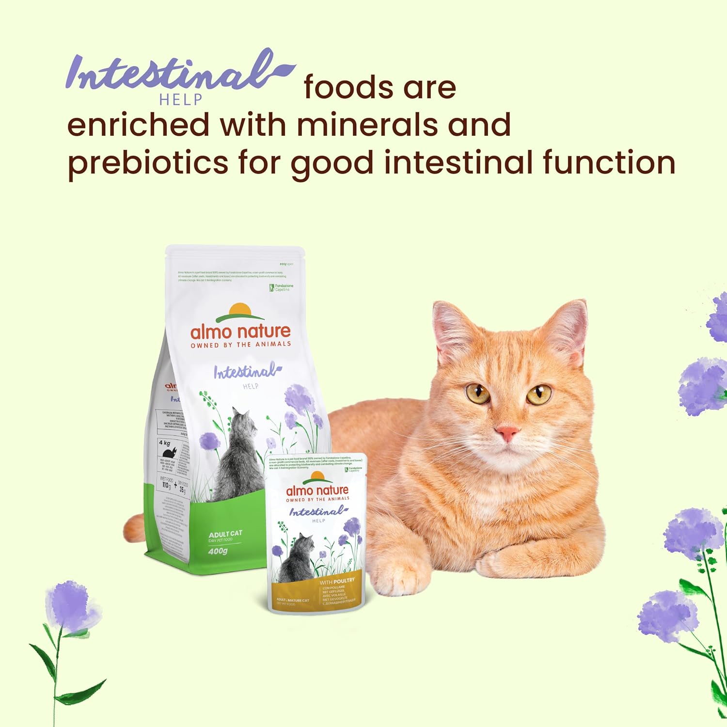 Almo Nature Functional Intestinal Help Wet Cat Pouch Sensitive Multipack 6x70g :Pet Supplies