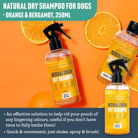 Herbal Dog Co Natural Dry Shampoo for Dogs & Puppies - Orange & Bergamot, 250ml - Dog Grooming Dog Perfume & Conditioner - Hypoallergenic, Vegan, Made in UK?Orange & Bergamot