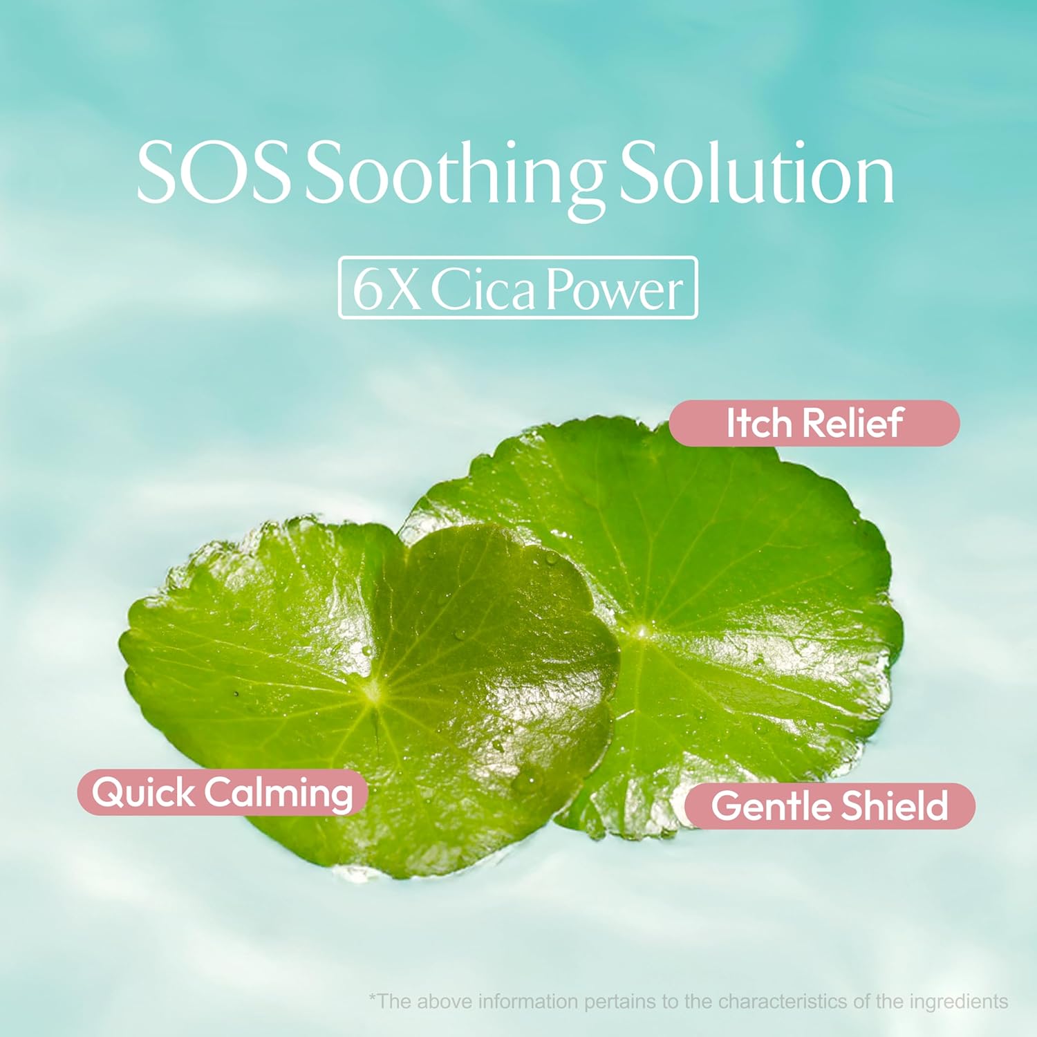 La Muse Oasis Soothing Serum(Tube, Pouch) (Pouch, 2.71 Fl Oz) : Beauty & Personal Care