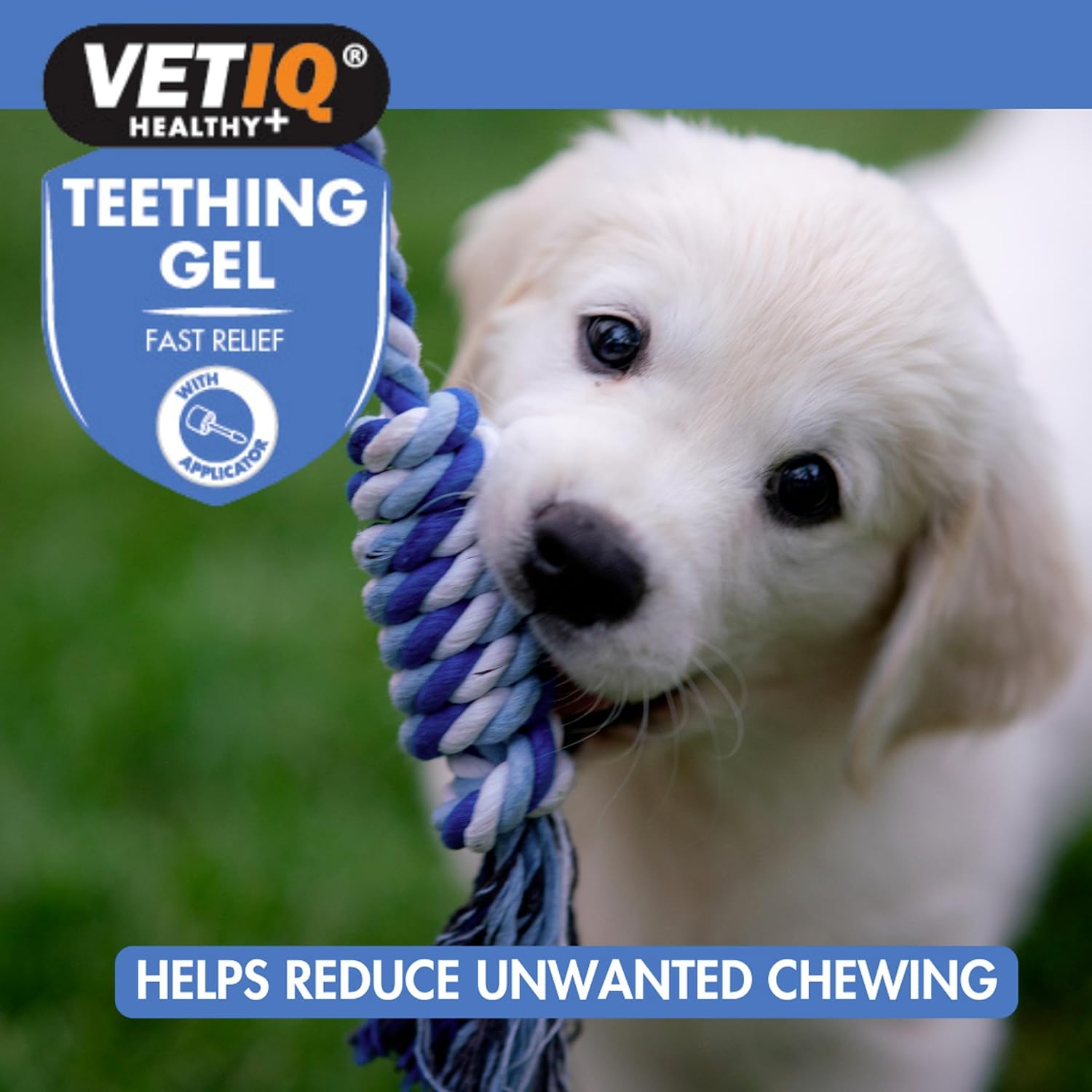 VETIQ Fast Pain Relief Teething Gel With Applicator, Helps Reduce Unwanted Chewing For Dogs & Puppies 4+ Week, 50 g :Beauty