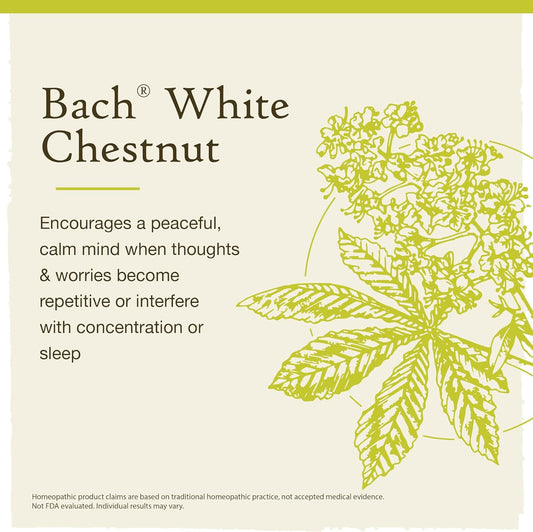 Bach Original Flower Remedies, White Chestnut for Calming Repetitive Thoughts (Non-Alcohol Formula), Natural Homeopathic Flower Essence, Holistic Wellness, Vegan, 10mL Dropper
