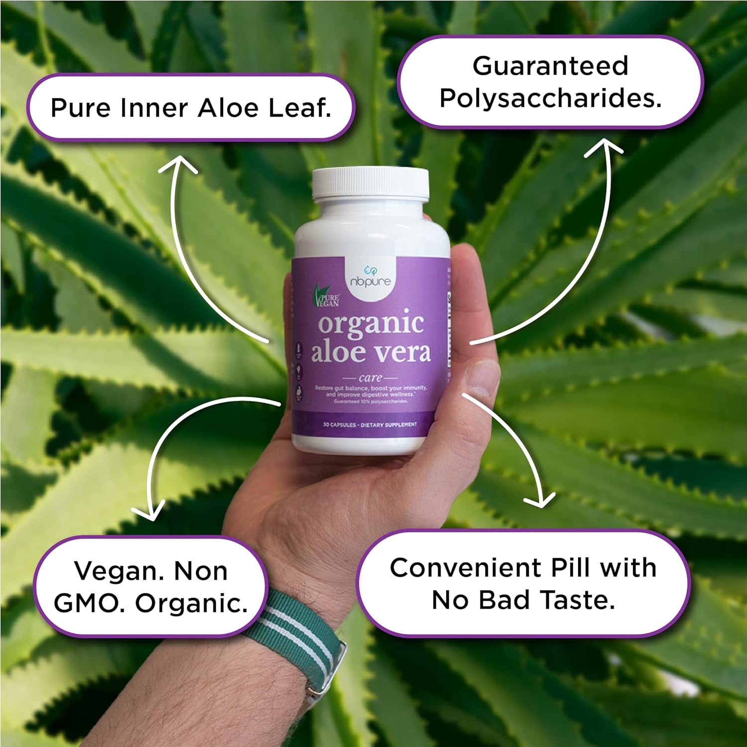 nbpure Organic Aloe Vera, Restore Gut Balance, Immunity Support and Digestive Wellness 30, Vegan Capsules : Health & Household