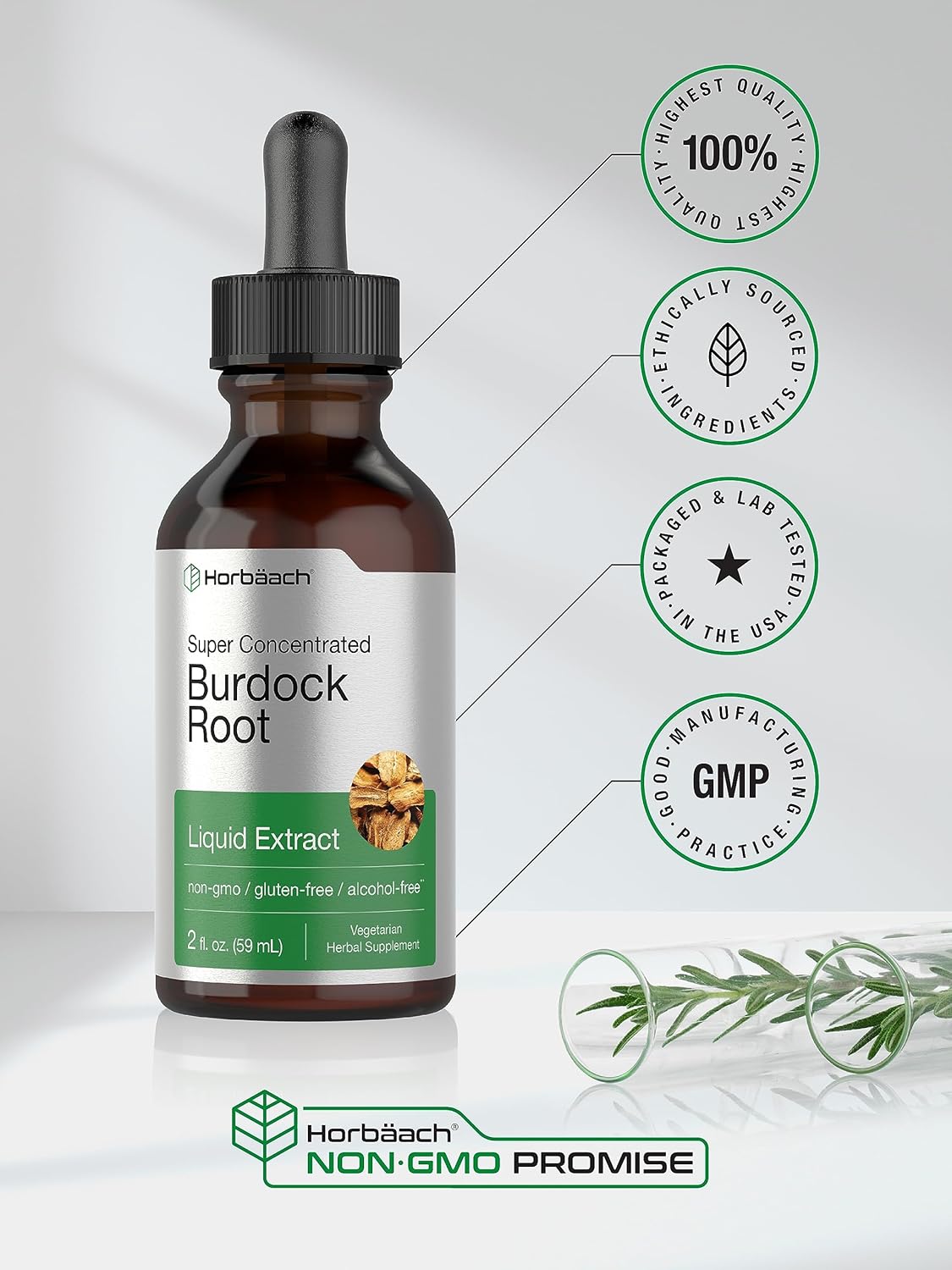 Horbäach Burdock Root Tincture | 2 fl oz | Super Concentrated Herb Extract | Vegetarian, Non-GMO, Glutren Free, Alcohol Free : Health & Household