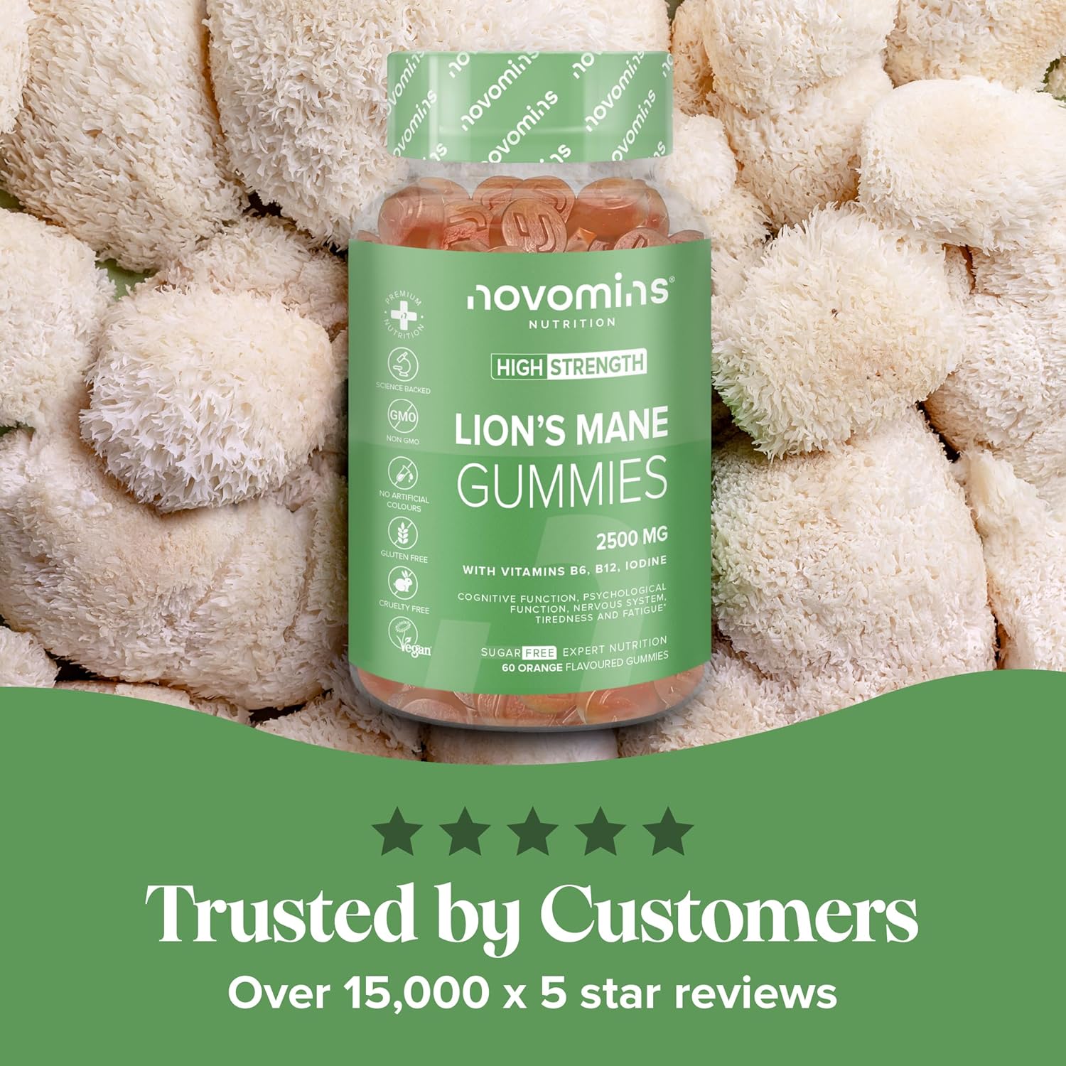 Lions Mane Supplement Gummies - Added Vitamin B6, B12 for Mental Performance - High-Strength Alternative to Lions Mane Powder - Lion's Mane Mushroom Gummies - Lions Mane Gummies for Adults - Novomins : Amazon.co.uk: Health & Personal Care