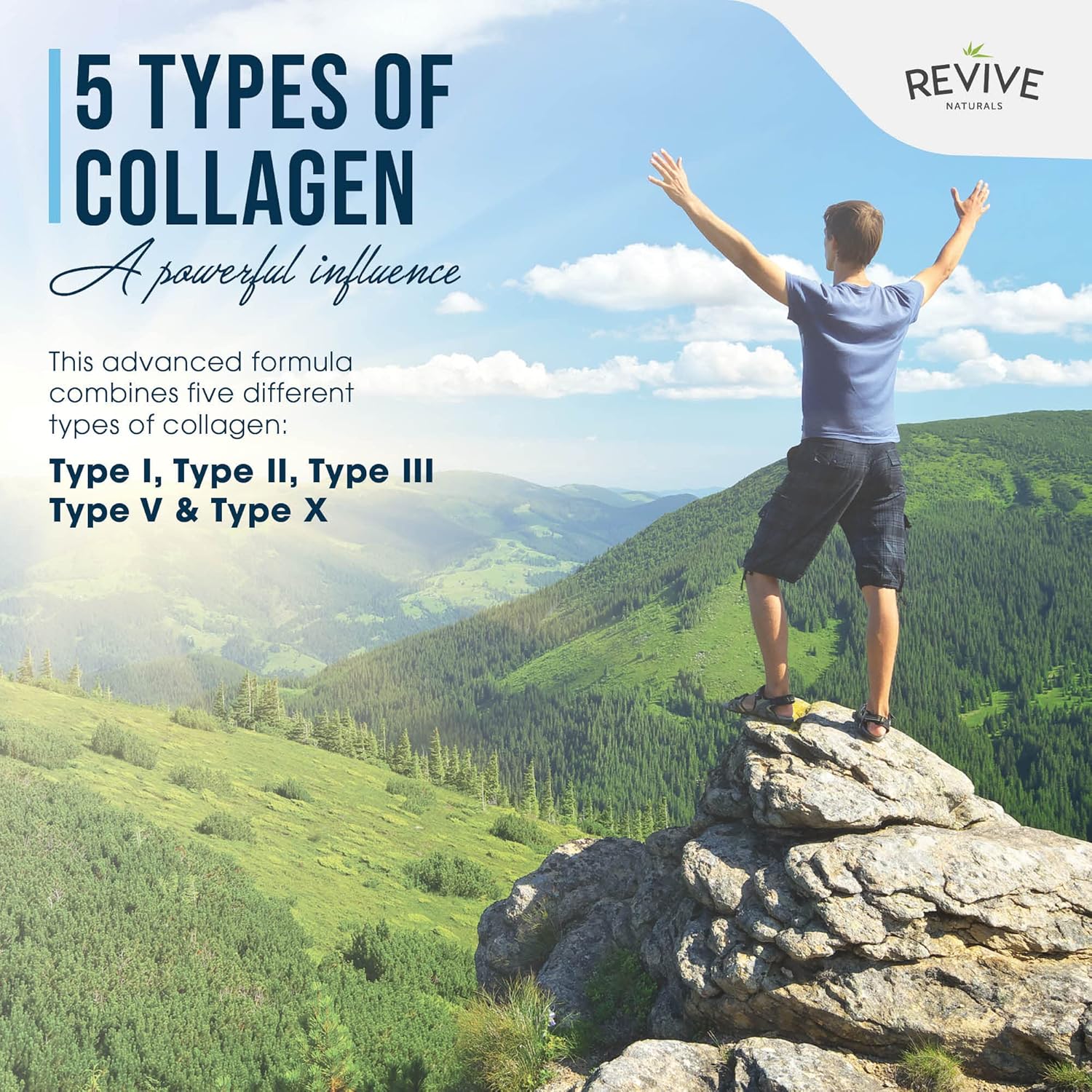 Revive Naturals Multi Collagen Protein Capsules - Types I, Ii, Iii, V & X - Hydrolysed Grass Fed Bovine, Wild Caught Marine & Free-Range Chicken, Made With Hyaluronic Acid & Vitamin C, 120 Caps : Health & Household