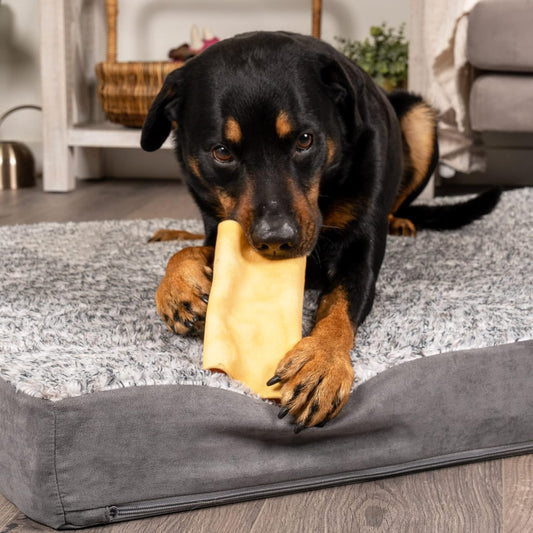Pet Factory Carechewz Collagen 6-7" Large Wraps Dog Chew Treats - Chicken Flavor, 2 Count/1 Pack