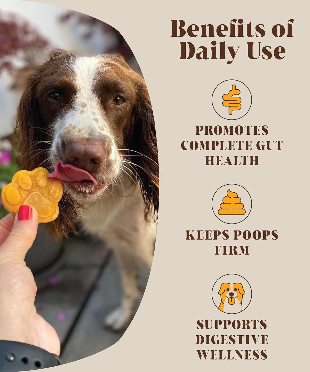Probiotics & Pumpkin For Dogs | Real Pumpkin Purée Powder + Pre & Probiotic Blend | Dog Probiotics For Gut Health | 225 grams | 45 Daily Servings : Amazon.co.uk: Pet Supplies
