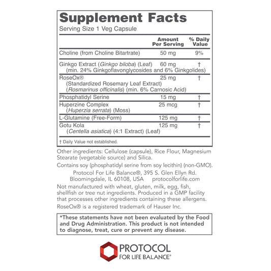 Protocol Brain Regain - Free Radical Neutralizers, Blood Vessel, Brain Support - Ginko Biloba - 90 Veg Caps