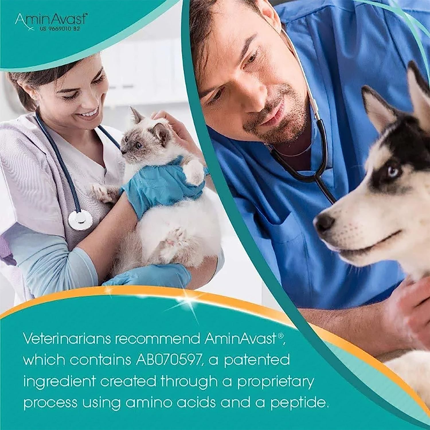 AminAvast Small Dogs & Cat Kidney Support - Promotes Health Kidney Support in Cats & Small Dogs - 300mg, 60 Capsule : Pet Supplies