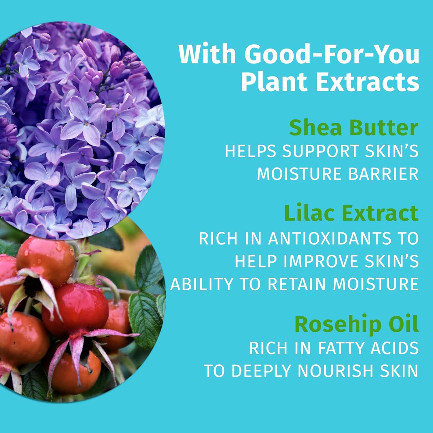 Hempz New Limited Edition Lilac Lotion, Hydrating Body Moisturizer For Body, Hands And Feet 8.5 Oz. : Beauty & Personal Care