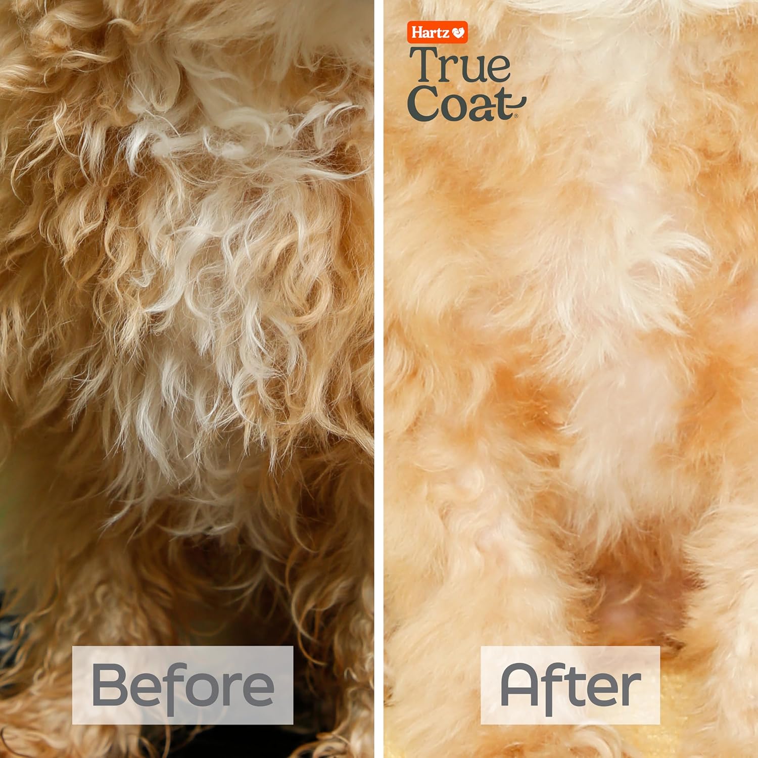 New! Hartz True Coat Curly or Wavy Coat Dog Shampoo, Detangles & Conditions with Oat Milk, Coconut Oil & Shea Butter