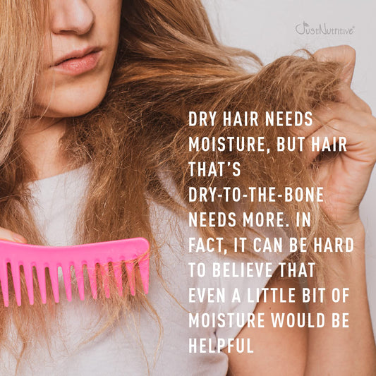 Just Nutritive Moisturizer Hair Pomade | Natural Hydrating Pomade | Hair Food For All Hair Types | Softening Cream For Men And Woman | Hair Care Treatment 8 Fl Oz