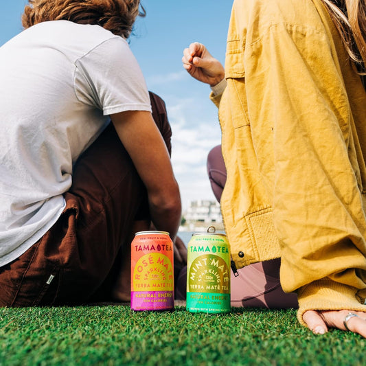 Sparkling Yerba Mate Variety Pack By Tama Tea - Unsweetened Natural Energy Drink With Real Fruit & Herbs - Healthy Caffeine Drink Alternative - 120Mg Of Caffeine, 10 Calories - 12Oz Pack Of 12