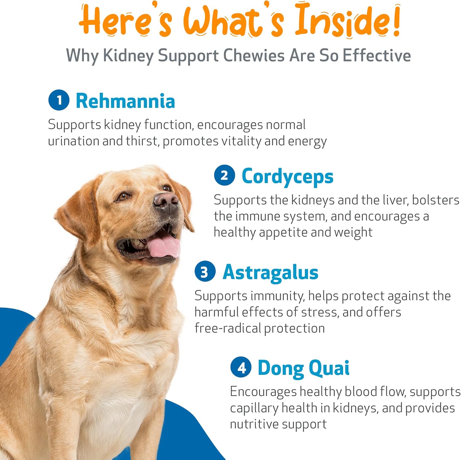 Pet Wellbeing Kidney Support Chewies for Dogs - Vet-Formulated - Supports Healthy Kidney (Renal) Function in Dogs - 90 Soft Chews : Pet Supplies