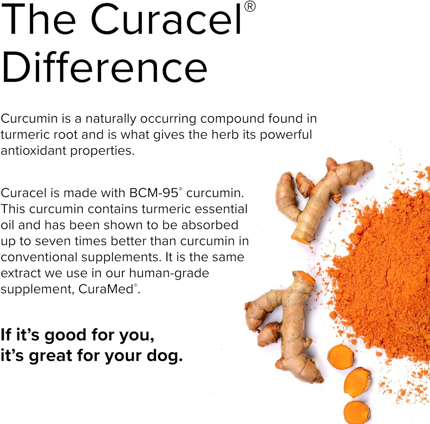 Terry Naturally Animal Health Curacel Curcumin - 60 Softgels - Optimal Cellular Support - Canine Only - 60 Servings : Pet Supplies