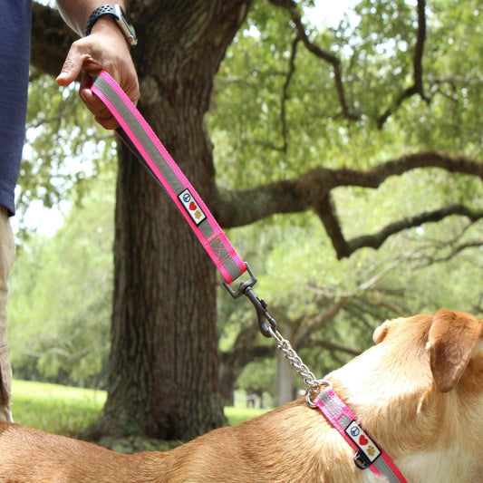 PAWTITAS 1.8 M Reflective Dog Lead Comfortable Padded Handle | Puppy Dog Training Double Handle Reflective Lead | Reflective Short Dog Lead for Training | Hands Free Running Dog Lead - Pink Lead?4334786634
