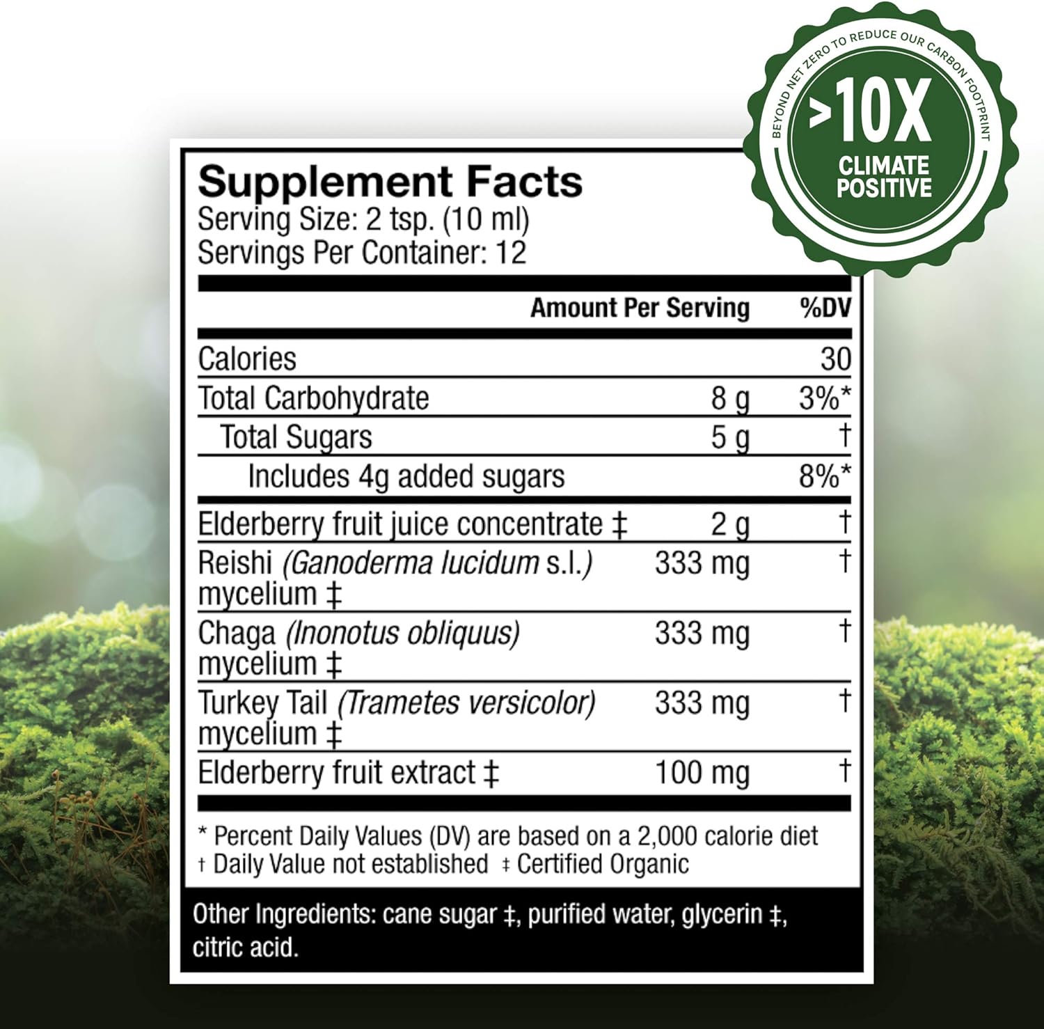 Host Defense, Elderberry Plus Syrup, Superfood Immune Support, Mushroom Supplement, 4  