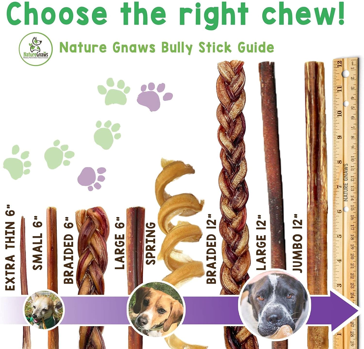 Nature Gnaws Bully Sticks for Dogs - Premium Natural Beef Dental Bones - Long Lasting Dog Chew Treats for Aggressive Chewers - Rawhide Free - 5-6 Inch : Pet Supplies