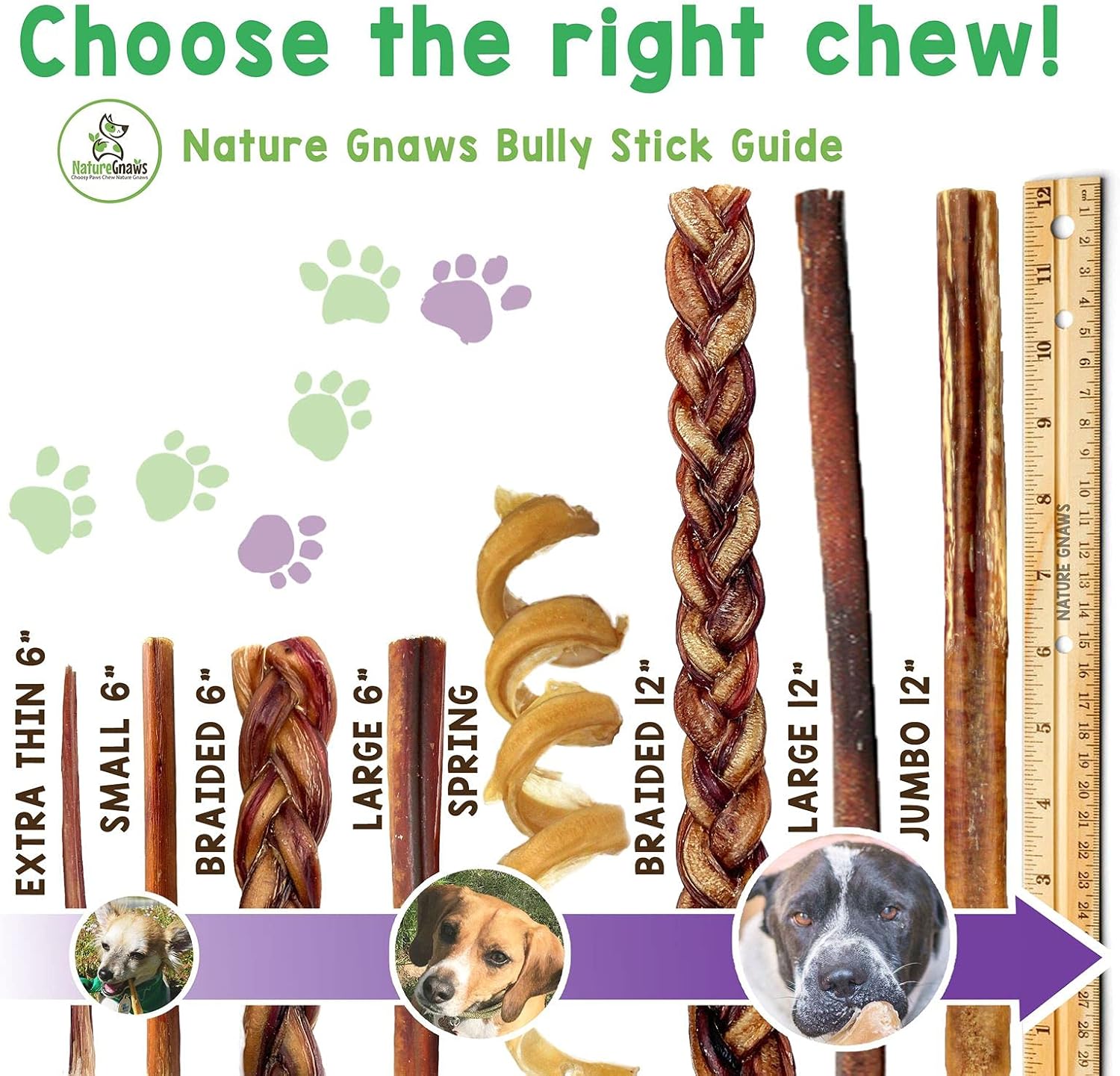 Nature Gnaws Bully Sticks for Dogs 5-6" (8oz) - Mixed Thickness - Long Lasting for Aggressive Chewers and Large Dogs - Natural Beef Dog Chew Bones : Pet Supplies