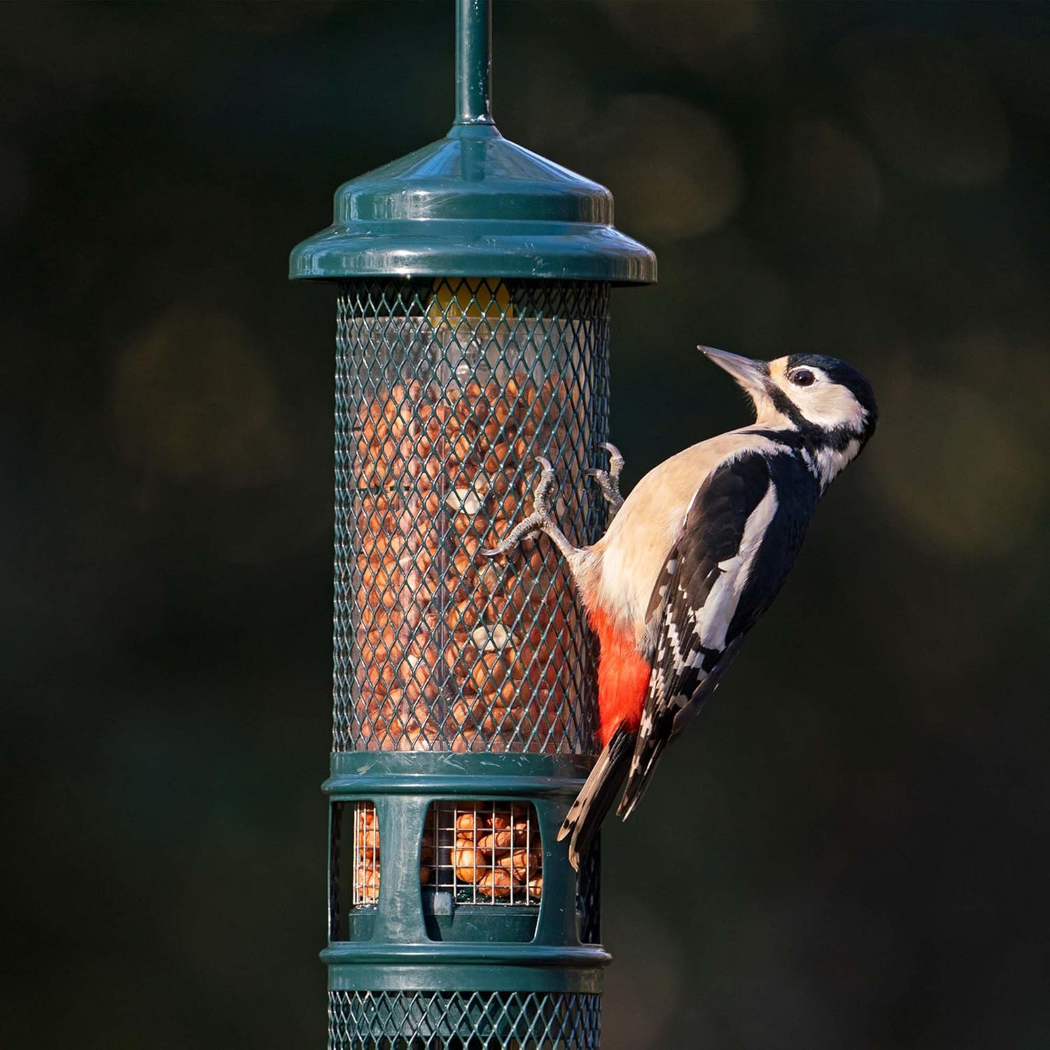 Jacobi Jayne SB-PN Squirrel Proof Bird Feeder - Squirrel Buster Peanut - Marauders off! Guaranteed Squirrel and Large Bird Proof / Metal, Green :Garden